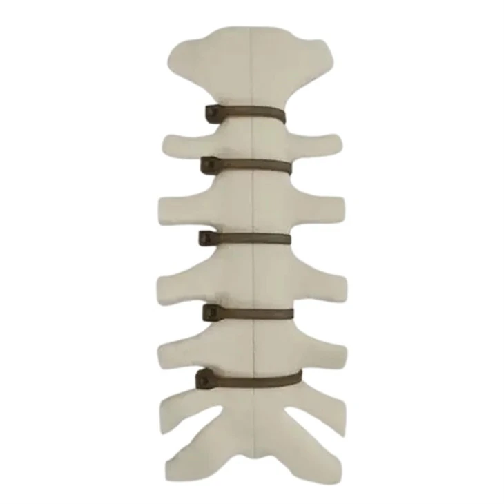 PEEK Sternal Closure Device suppliers
